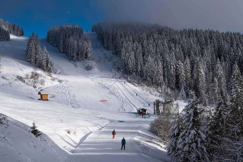 L'Enchalpe, Grand Et Lumineux Studio Avec Coin Montagne 5 Personnes, 60M Des Pistes, Piscine Couverte, Wifi, Grand Balcon Expo Est, Draps Non Compris Saint-Jean-dʼAulps المظهر الخارجي الصورة